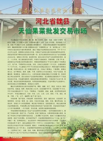 河北魏县天仙果菜批发交易市场